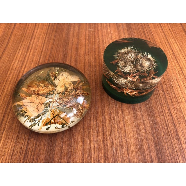 Autumnal Vintage Paperweights - a Pair For Sale - Image 9 of 11