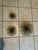 Curtis Jere Set of 3 Vintage Bronze Starburst Wall Sculptures in the Style of Curtis Jere For Sale - Image 4 of 9