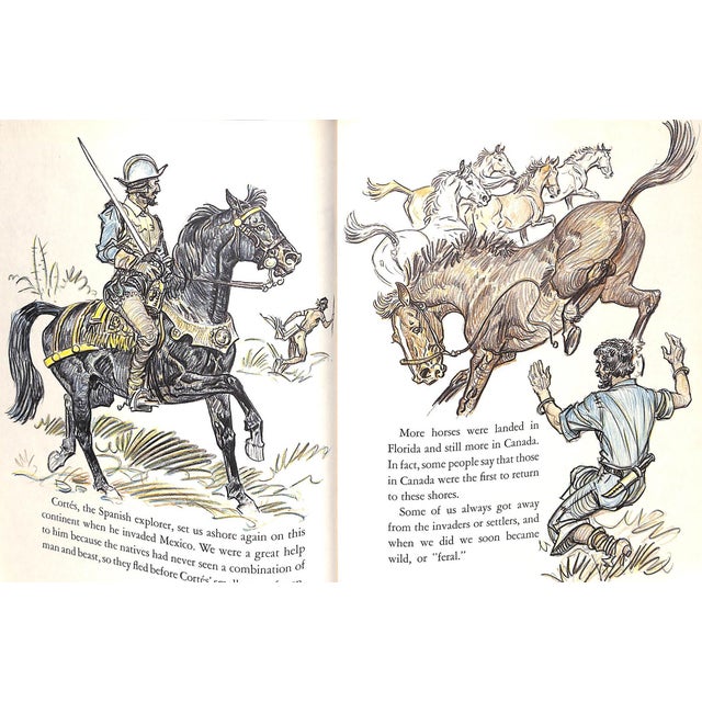 "Your Pony's Trek Around the World" 1956 Brown, Paul For Sale - Image 12 of 15