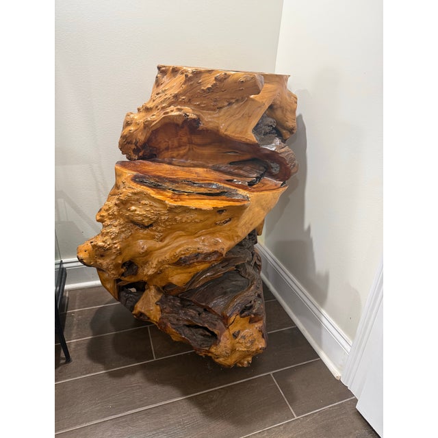 Early 20th Century Large Sculptural Natural Root Wood Pedestal / Accent Table, 34” For Sale - Image 4 of 6