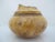 Wood Michael Mode Hand Turned Spalted Maple Burl Wood Live Edge Lidded Box Jar For Sale - Image 7 of 12
