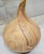 Vintage Costa Rican Hand-Carved Exotic Wood Organic Form Sculpture For Sale - Image 4 of 9