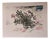 Kai Flummer, Floral Lithograph, 1984, Lithograph For Sale