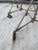 Mole-Richardson Stage Lights | Hollywood Studio Spotlights on Crank Stands For Sale - Image 16 of 18