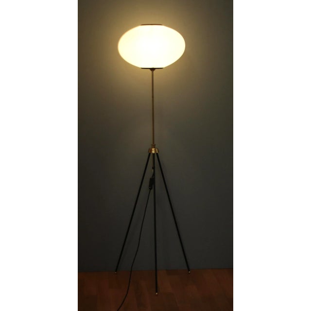 Mid-Century Modern Tripod Height-Adjustable Floor Lamp with Toroidal Pleated Shade, 1950s For Sale - Image 3 of 12