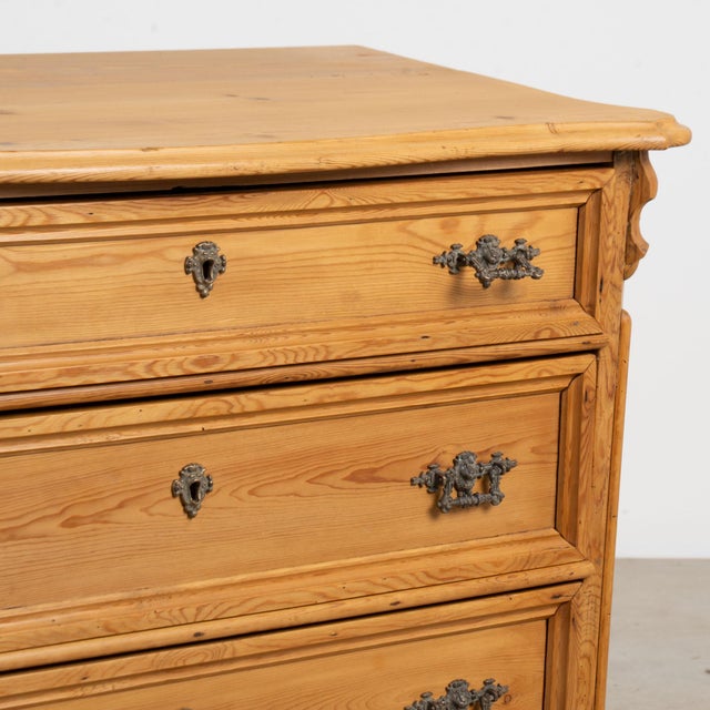 19th Century Danish Waxed Pine Chest of Four Drawers For Sale - Image 11 of 13