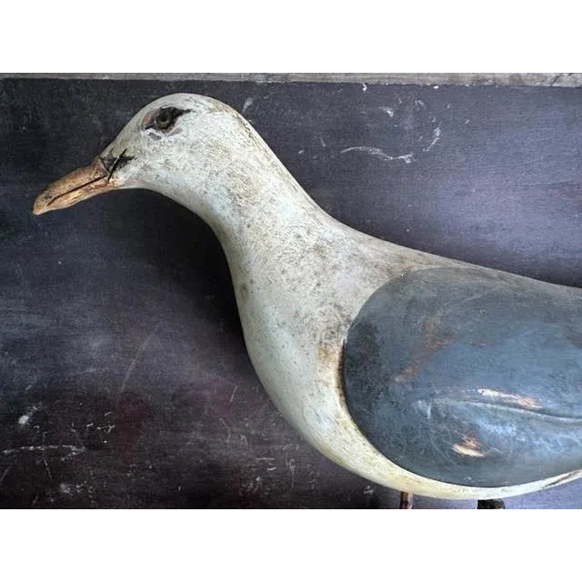 A fabulous unique piece of Americana for your beach house or bird collection. Wood carved seagull is mounted on a board...