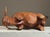 Antique Hand Carved Folk Art Bull Sculpture For Sale - Image 11 of 12