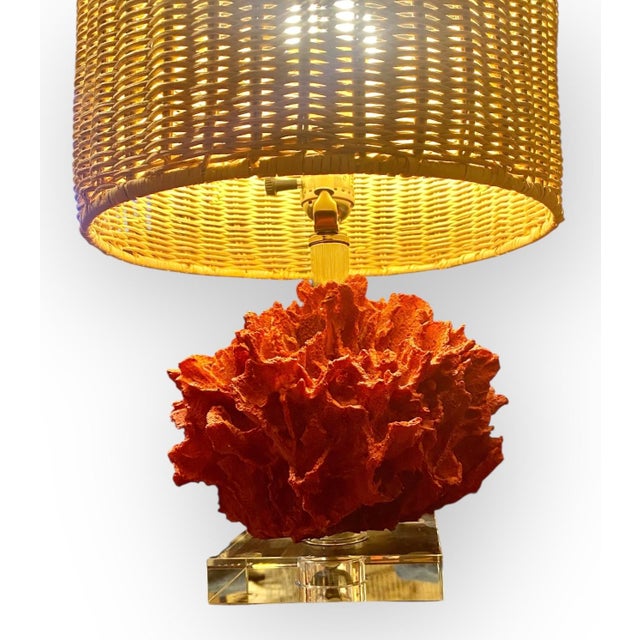 Enjoy elegance with this luxurious Caribbean Fire Coral table lamp. Featuring a lucite base and a hand woven natural...