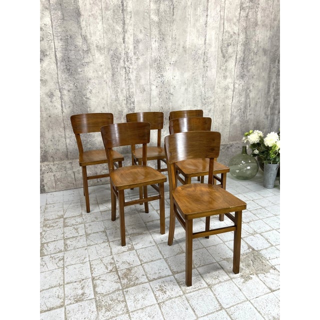 Vintage Bistro Chairs in Bentwood, 1950s, Set of 6 For Sale - Image 3 of 9