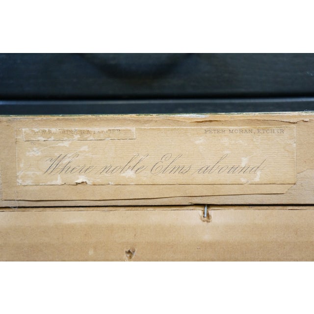 Antique Hw Robbins Where Noble Elms Abound Cows Farmhouse Road Etching 34" For Sale - Image 11 of 15
