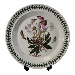 1970s Early Portmeirion Botanic Garden Christmas Rose Dinner Plate For Sale