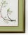 Mid 20th Century Vintage Hand-Painted Plant Specimen Watercolor Cherry Blossom Specimen (With Frame). Signed in the Lower Right Corner For Sale - Image 5 of 10