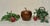 Vintage Mid-Century Modern Apple Shaped Ice Bucket Quaker Solid American Walnut For Sale - Image 12 of 12