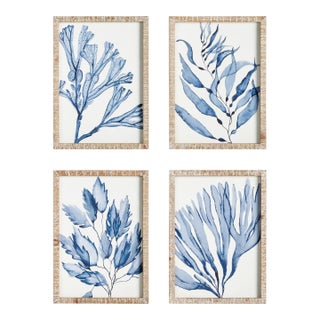 Marine Prints, Set Of 4 For Sale