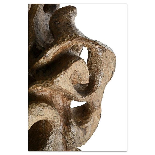 Carved Teak Root Sculpture For Sale - Image 6 of 8
