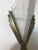Early 20th Century French Art Deco Wall Sconces Signed by Degue - a Pair For Sale - Image 5 of 10