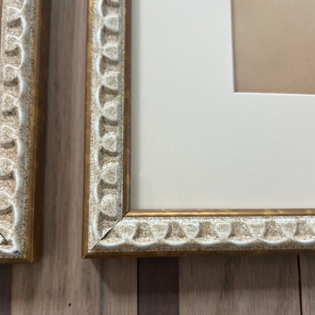 1930s Pair of Original Antique Pressed Flower Herbarium Specimens With Gustavian Swedish Style Frames For Sale - Image 5 of 5