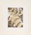 "Bones" - Abstracted Etching in Ink on Paper (Artist's Proof) by Doris Warner For Sale In Monterey, CA - Image 6 of 6