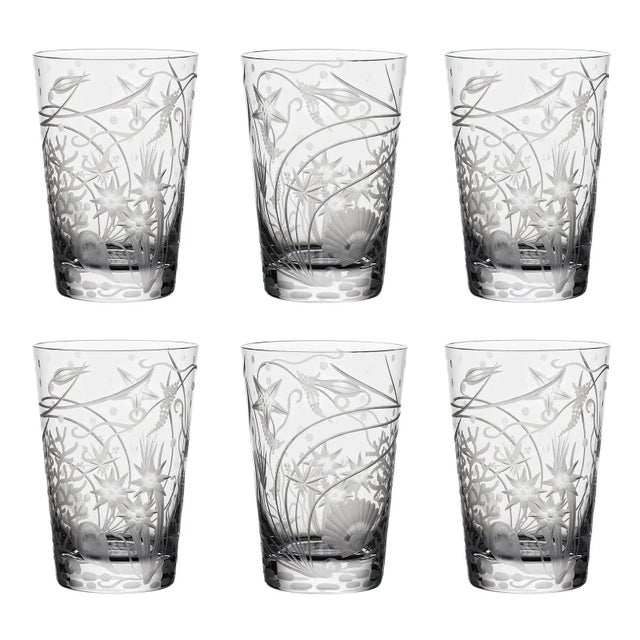 Artel ARTEL Sea Life Atlantis Tumblers, Clear - Set of 6 For Sale - Image 4 of 6