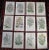 Green Antique 19th Century Botanical Lithographs - Set of 12 For Sale - Image 8 of 8
