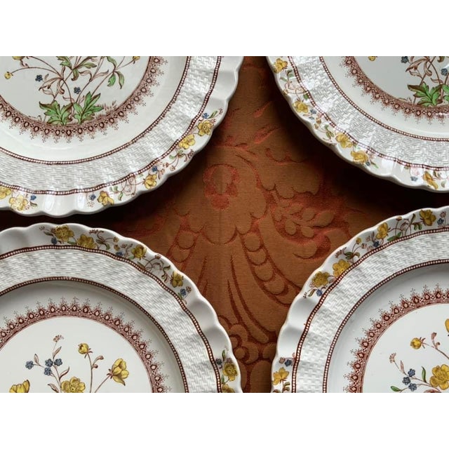 Antique Spode Dinner Plates Set of 4 Chairish
