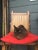 Set of Four Vintage Chinese Vernacular "Lamp-Hanger" Side Chairs For Sale - Image 18 of 18