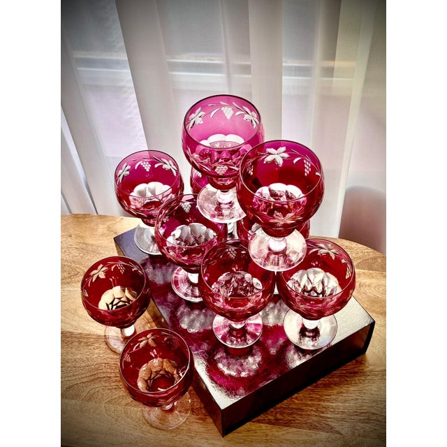 Vintage Vignes Ruby Crystal Wine Goblets from Val Saint Lambert, 1950, Set of 10 For Sale - Image 15 of 18