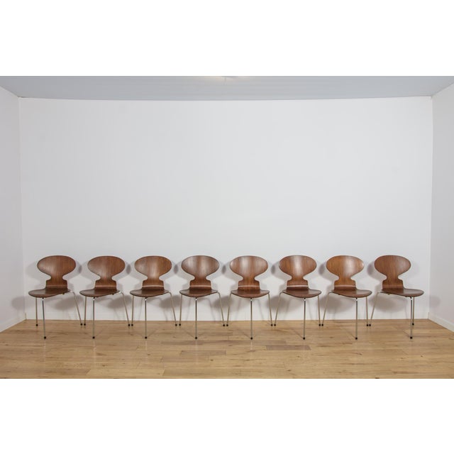 Mid-Century Modern Mid-Century Model 3101 Ant Dining Chairs by Arne Jacobsen for Fritz Hansen, Denmark, 1970s, Set of 8 For Sale - Image 3 of 18
