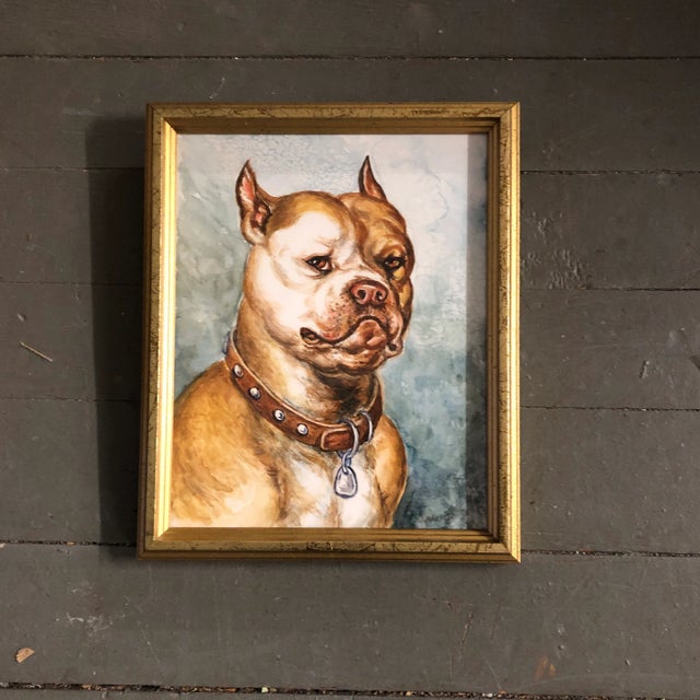 1980s Original Vintage Pit Bull Terrier Watercolor Painting Signed For Sale - Image 5 of 5