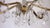 Brass Lead Crystal Chandelier Six Lights from Palwa & Walter, 1960s For Sale - Image 6 of 9