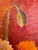 Oil Painting - Floral For Sale - Image 9 of 14