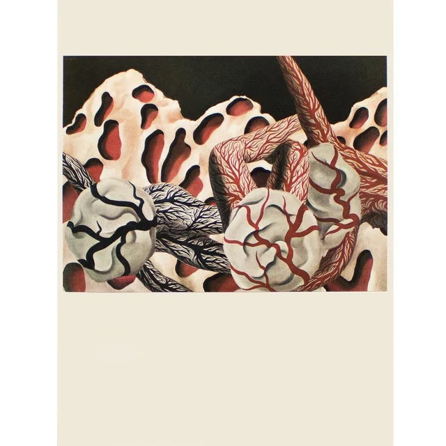 A First Limited Edition photogravure, full-color print, of surrealist painting "The World's Blood" (1926) by famous...