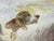 Antique English Watercolor of a Setter and Pointer Dog For Sale - Image 10 of 18