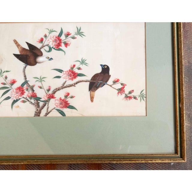 19th or 20th Century Chinese Watercolor Pith Paper Painting of Birds Arguing For Sale In New York - Image 6 of 16