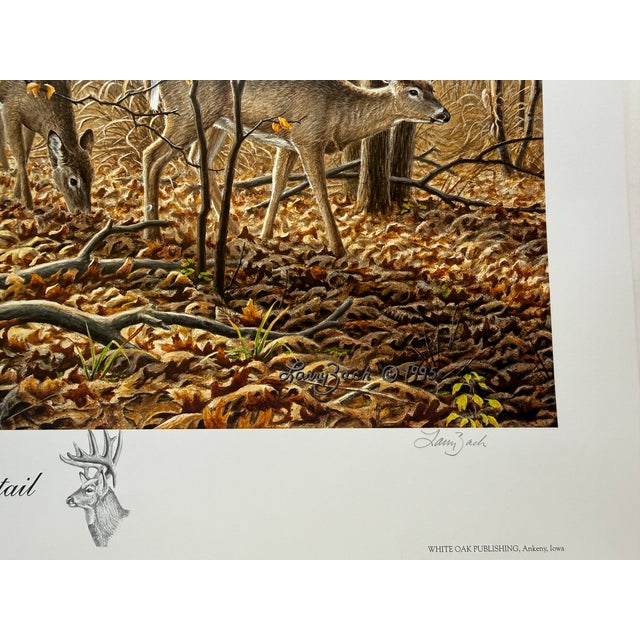 1990s 1990s Autumn Encounter - Whitetail Deer by Larry Zach ~ Le Signed Numbered Print For Sale - Image 5 of 8