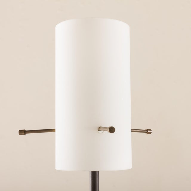 1960s Mid-Century Modern Italian Floor Lamp from Stilnovo, 1960s For Sale - Image 5 of 10