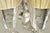 Late 19th Century Victorian Racine Silver Plated Tilting Lemonade Water Pitcher on Stand W/ 2 Goblets For Sale - Image 9 of 15