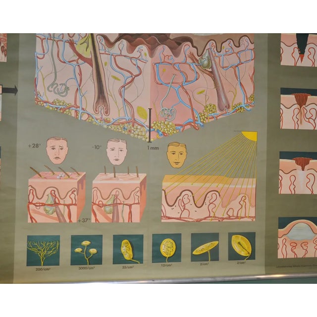 German School Print in Leather Edition, 1981 For Sale - Image 4 of 9