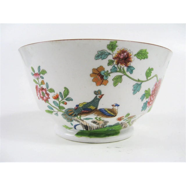Spode 18c Josiah Spode Peacock Bowl - England For Sale - Image 4 of 12