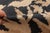 Contemporary floral bessarabian design handmade wool rug by Doris Leslie Blau. Size : 6'10" × 7'1" (208 × 215 cm). This...