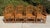 Set of 4 gorgeous Brighton Pavilion style chairs! These 6 legged vintage gems are constructed of bentwood rattan and...
