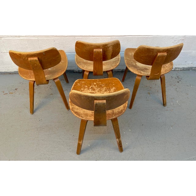 Wood Mid 20th Century Set of Four Elegant Bentwood Chairs by Bruno Weil for Thonet For Sale - Image 7 of 13