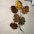 Metal Leaf Sculpture Wall Hanging For Sale - Image 3 of 8