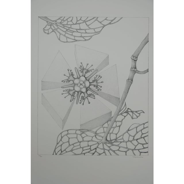 Gochka Charewicz, Fleur triangulaire, Lithograph For Sale