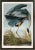 Great Blue Heron Print in Black Veneer With Silver Edge Moulding, After Audubon For Sale