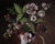 Brown "Blackberries Are Red When They Are Green" - Trompe l'Oeil Still Life by Alexis Pencovic For Sale - Image 8 of 8