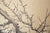 Large Taisho Japanese Byobu Screen "Sparrow and the Plum Tree" by Ryosetsu Kobe For Sale - Image 9 of 18