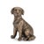 2020s Bronze Finish Dog Figurine (Set of 8) For Sale - Image 5 of 7