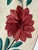 Mid 19th Century Antique Hand-Painted Floral Plate, c.1900 For Sale - Image 5 of 10